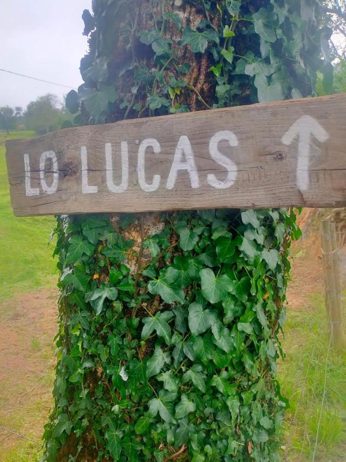 Vivienda Pasiega Lo Lucas 1920 San Roque de Ríomiera Zewnętrze zdjęcie